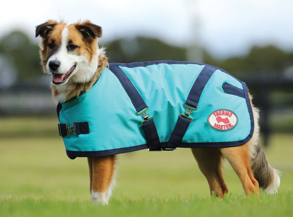 Thermo Master Supreme Dog Coat Teal