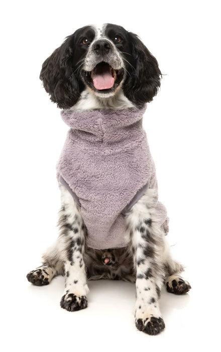 TurtleTeddySweaterLavenderDogPic