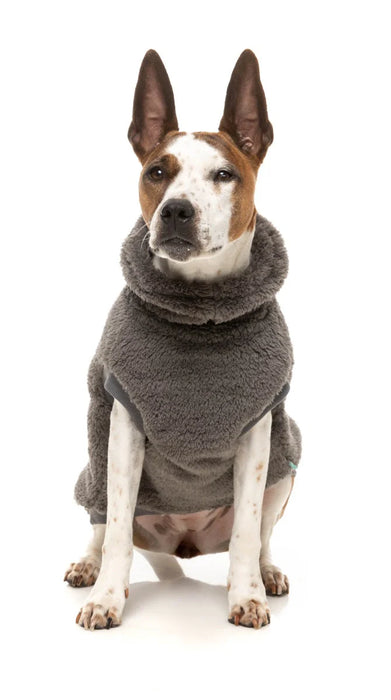 Turtle_Teddy_Sweater_Gunmetal_Grey_Dog_Pic