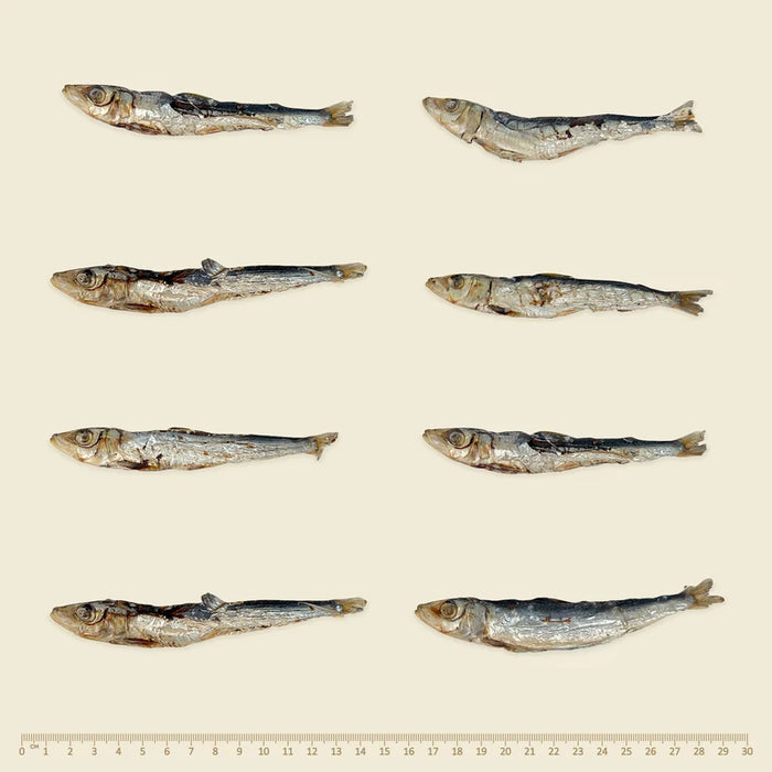 Wildkind_Dog_Treats_Southern_Ocean_Pilchards_size