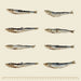 Wildkind_Dog_Treats_Southern_Ocean_Pilchards_size