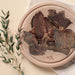 Wildkind_Dog_Treats_Western_Desert_Camel_Jerky