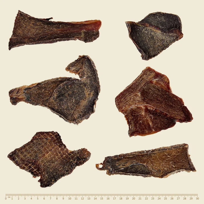 Wildkind_Dog_Treats_Western_Desert_Camel_Jerky_size