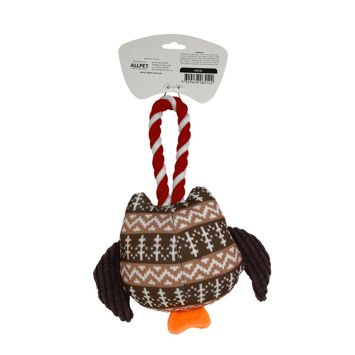 Xmas_Owl_With_Rope_Back_View