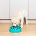 Zippy_Paws_Donut_Happy_Bowl_Slow_Feeder