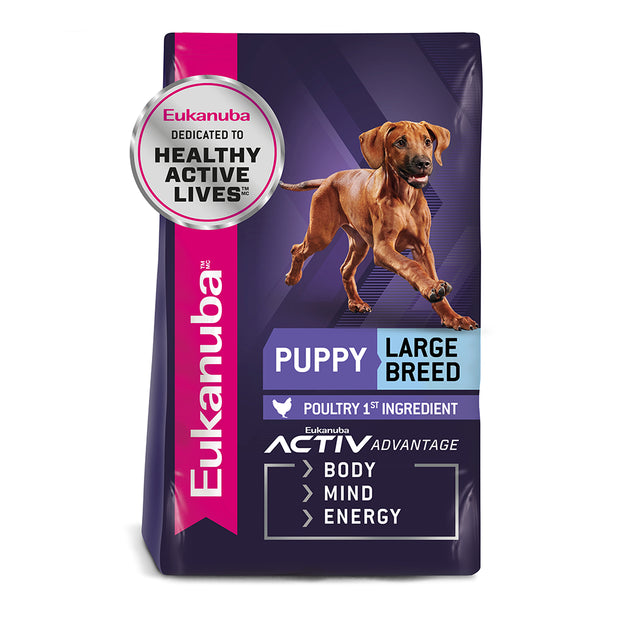 Eukanuba Large Breed Puppy 15kg