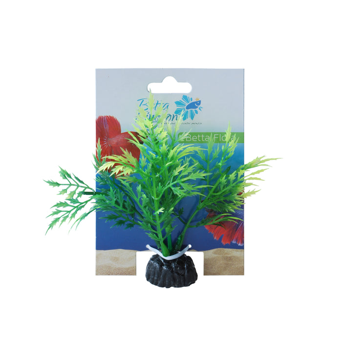 Betta Plant Flora Design