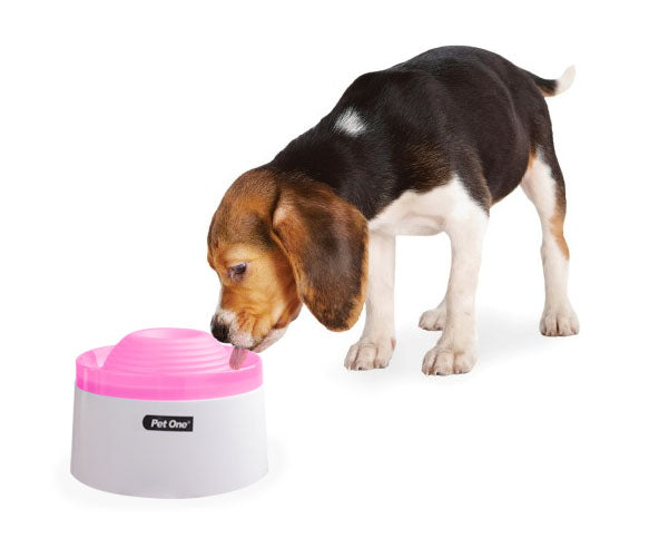 Fountain Fresh Drinking Bowl with Pump