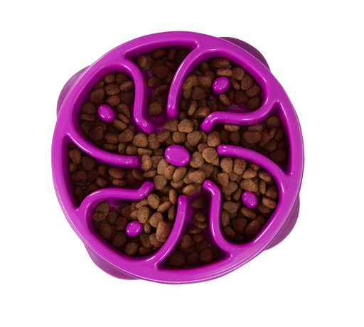 Outward Hound Fun Feeder Slow Bowl — World Pets