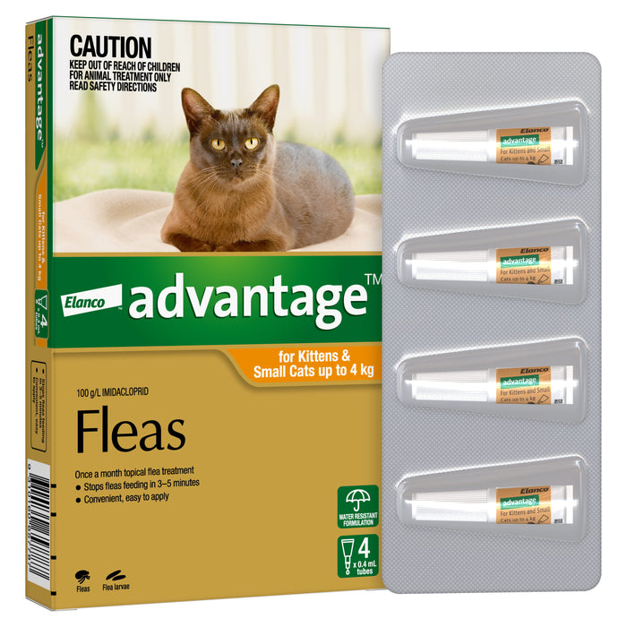 Advantage Orange - Kittens and Small Cats up to 4kg