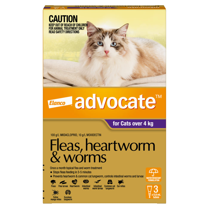 Advocate Purple - Large Cats Over 4kg