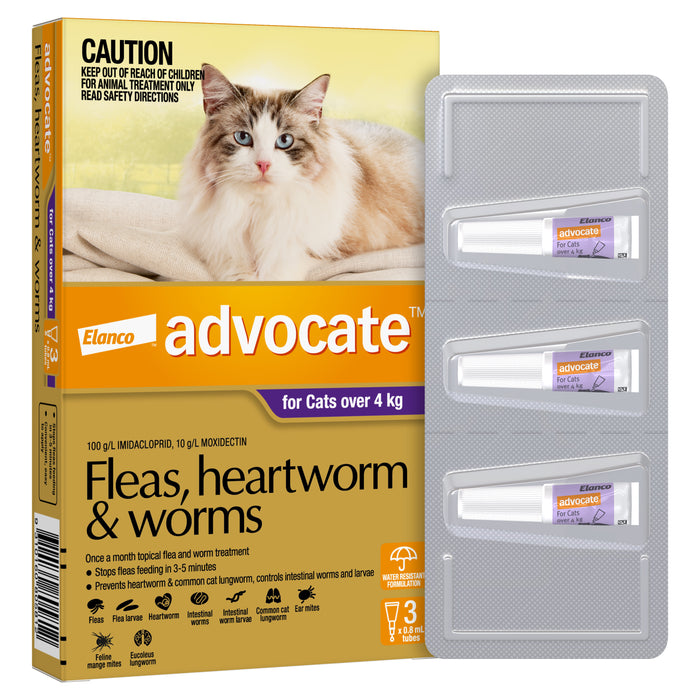 Advocate Purple - Large Cats Over 4kg