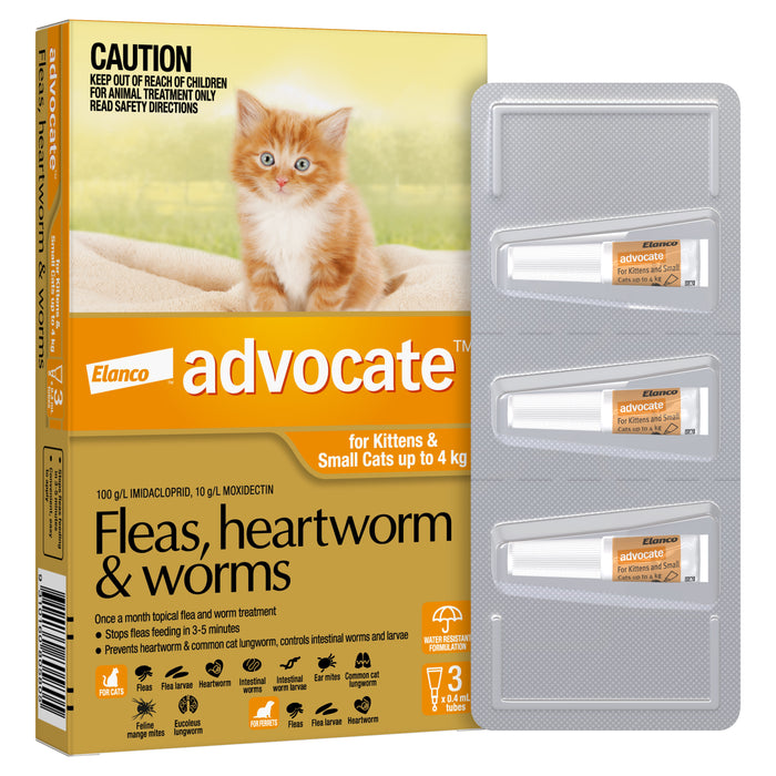 Advocate Orange- Kittens and Small Cats up to 4kg