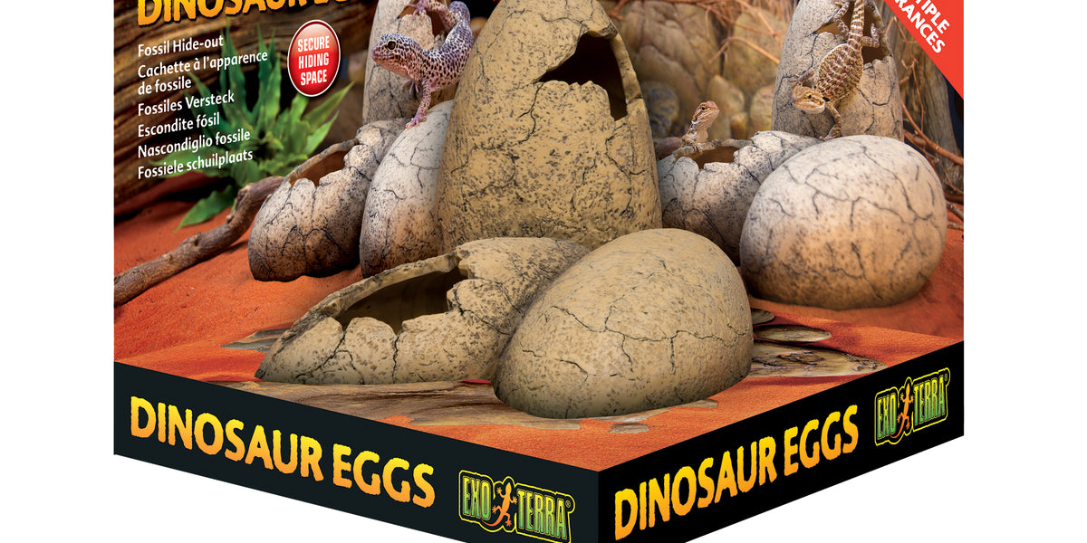 Exo terra 2024 dinosaur eggs