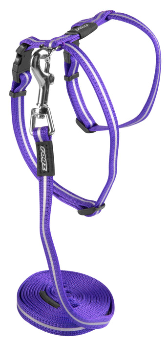 AlleyCat Harness and Lead Set