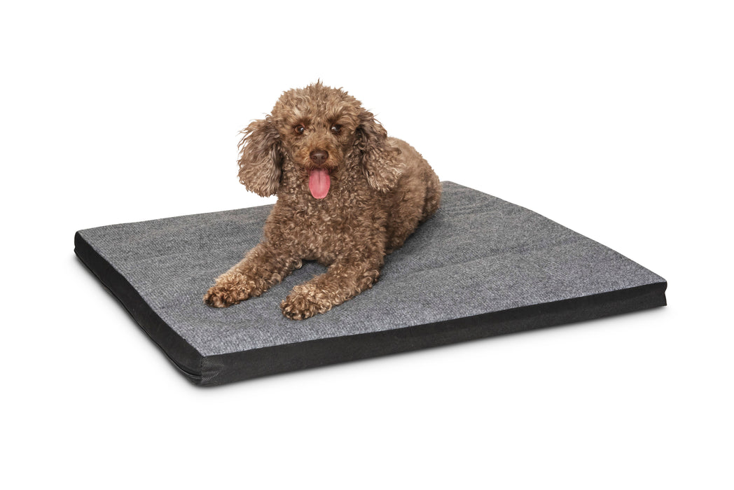 Carpet Dog Mat