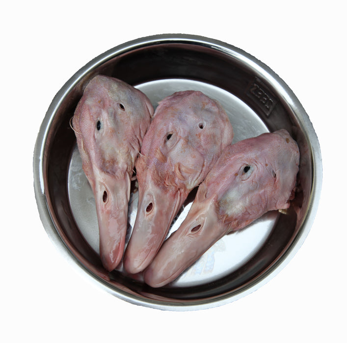 Duck Heads - 4 Pack