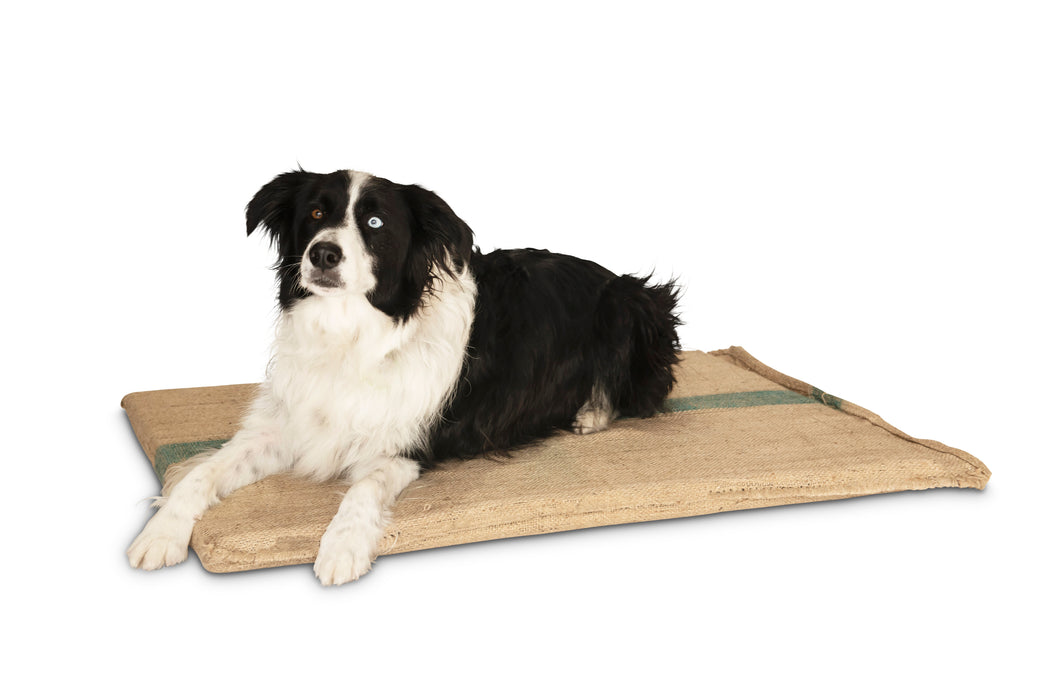 Hessian Foam Dog Mat