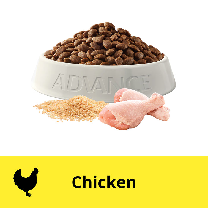 Advance large outlet breed chicken