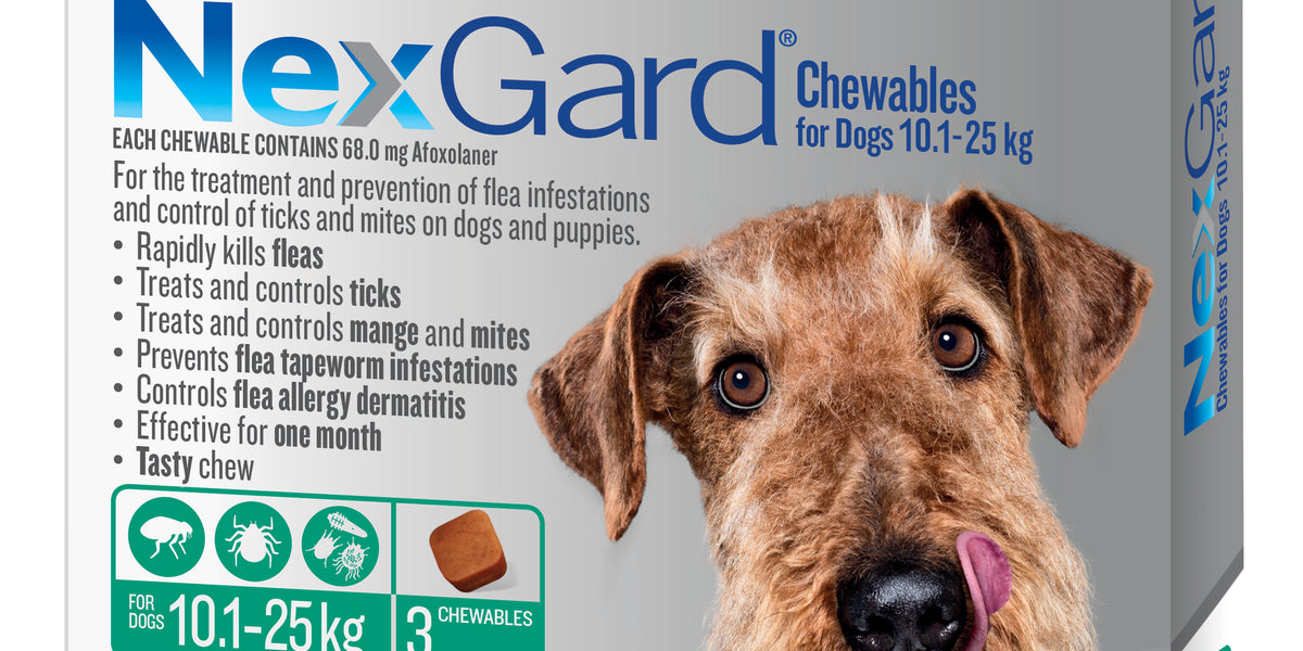 Nexgard Medium Dog — World Pets