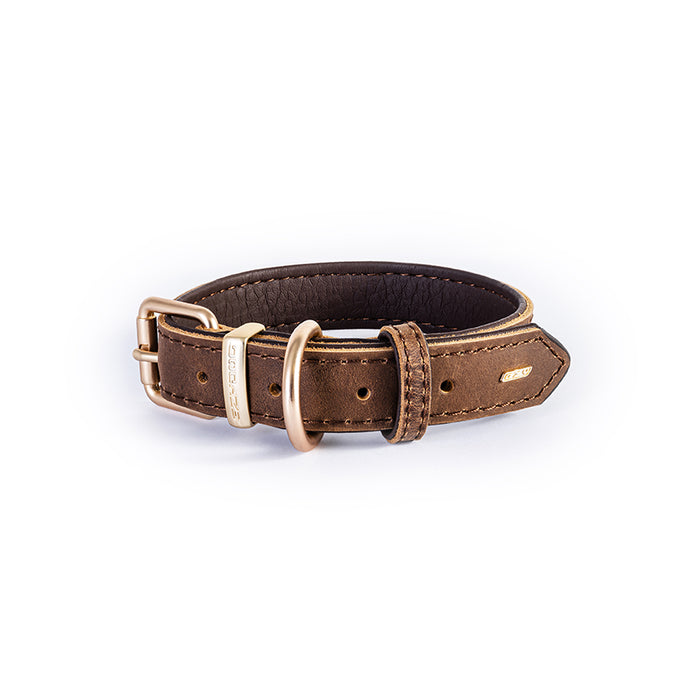 Oxford Classic Leather Collar