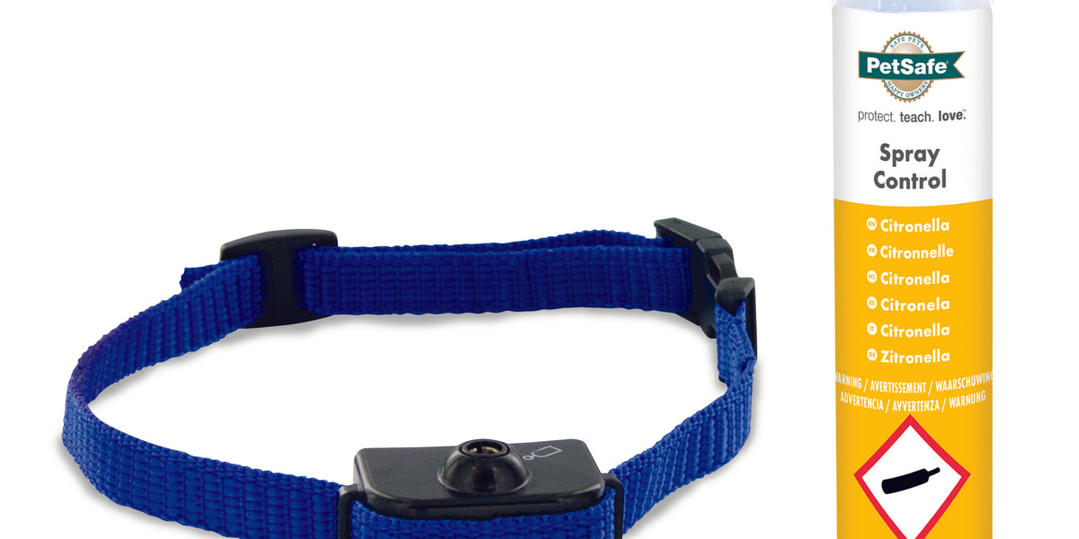 Elite Little Dog Spray Bark Control — World Pets