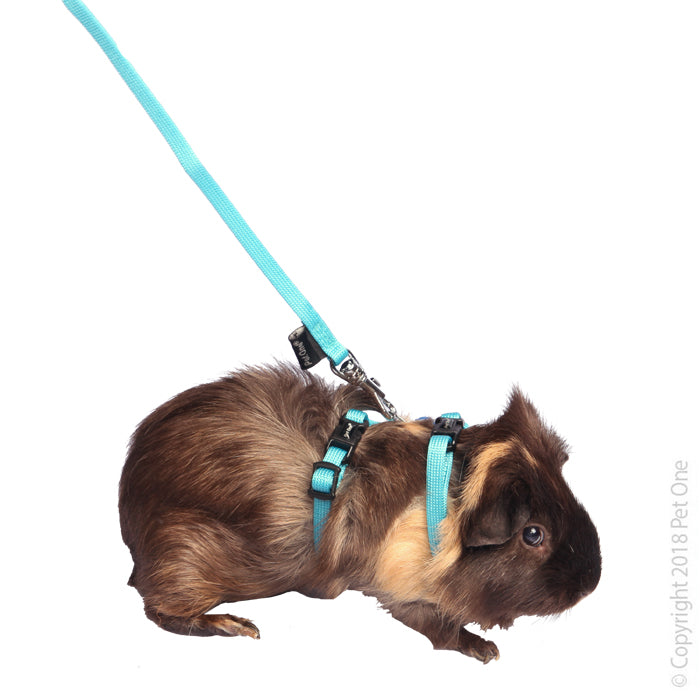 Pet One _Rabbit, Guinea Pig & Ferret Leash & Harness