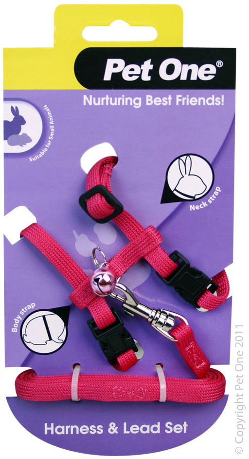 Rabbit, Guinea Pig & Ferret Leash & Harness Pink