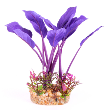 Silk Plant Thin Leaf Purple