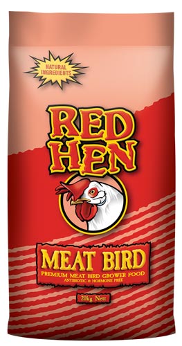 Red Hen Meat Bird