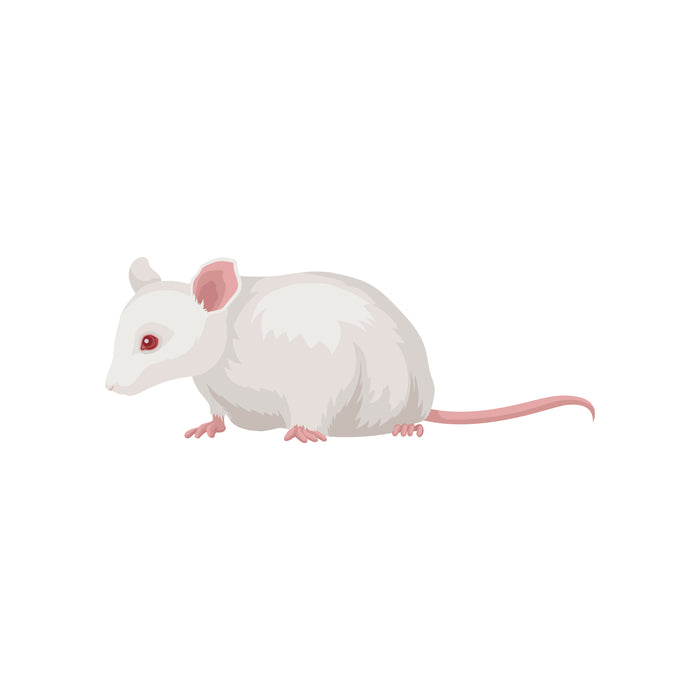 Raticool Frozen Mice